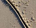line in the sand
